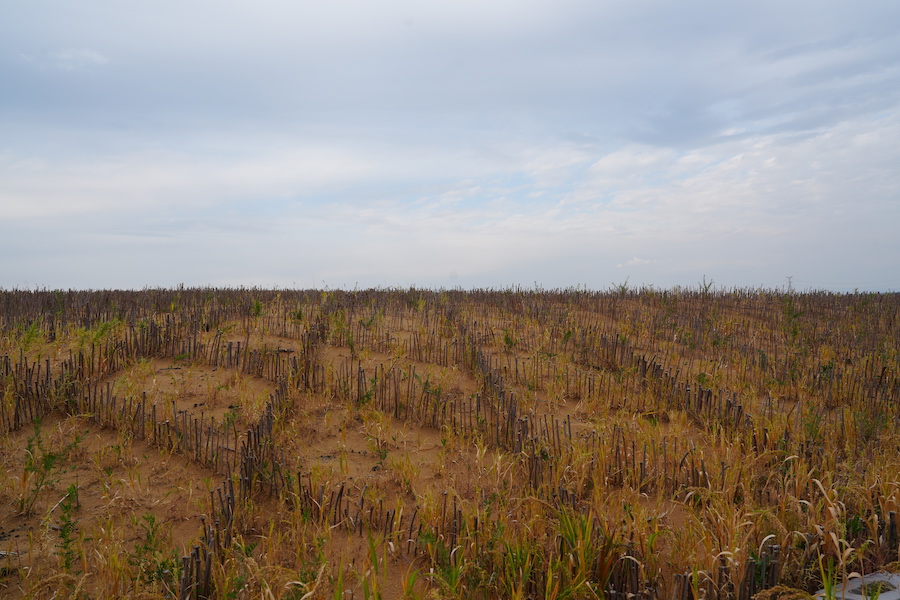 1758098658254016.jpg DSC07294.JPG