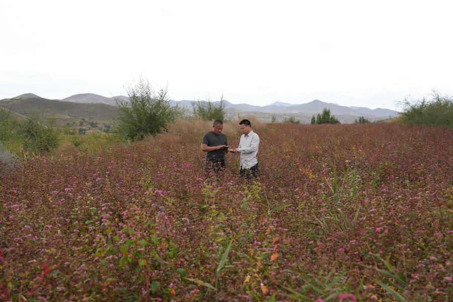 1758684779378980.png 4.png