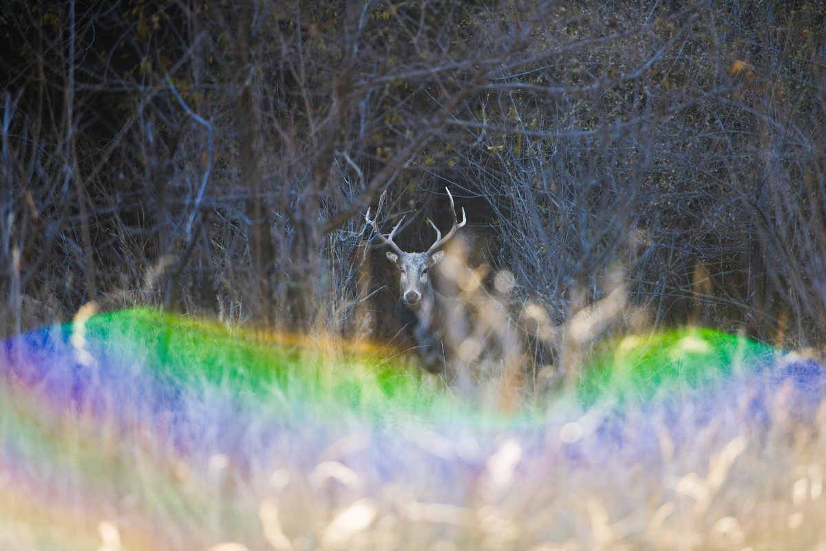 1761634769101851.png 圖片4.png