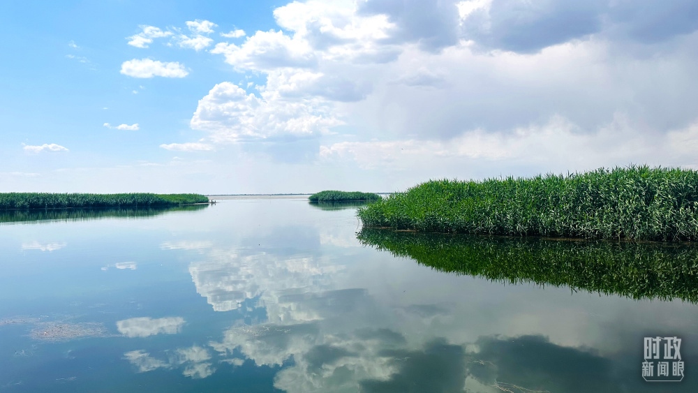 內(nèi)蒙古烏梁素海，是黃河流域最大的湖泊濕地。（總臺央視記者范一鳴拍攝）