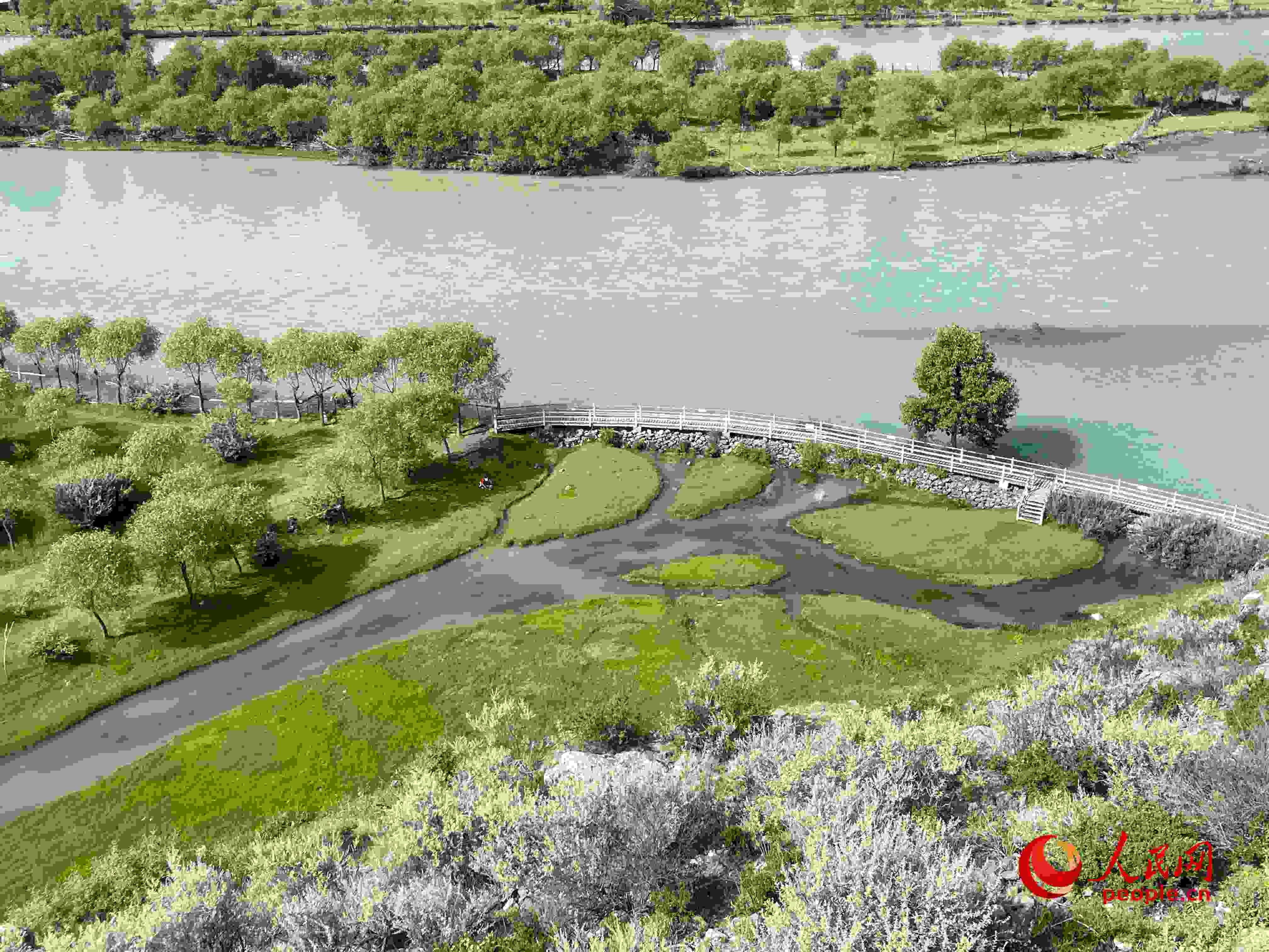 夏日的雅尼國家濕地公園生機盎然，如詩如畫。人民網(wǎng) 周靜圓攝