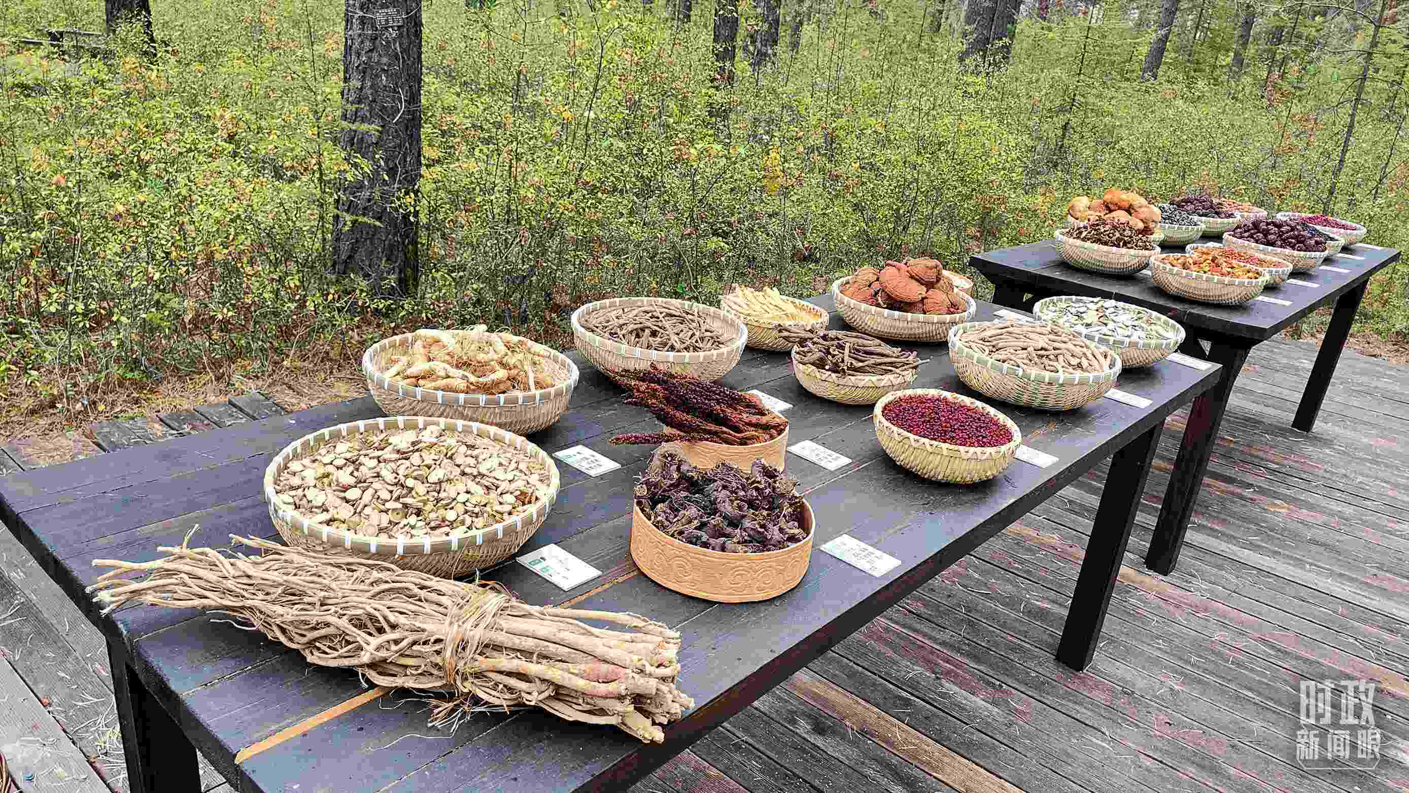 △林場里的食用菌、林果等特產(chǎn)。（總臺央視記者楊立峰拍攝）