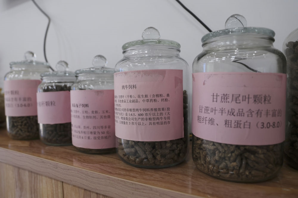 這是12月13日在來賓市興賓區(qū)小平陽鎮(zhèn)一家飼料廠拍攝的以甘蔗尾葉為原料制成的飼料。