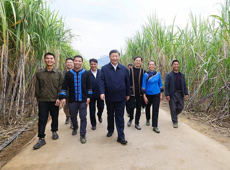 2023年12月14日，習(xí)近平總書記在廣西來賓市國家現(xiàn)代農(nóng)業(yè)產(chǎn)業(yè)園黃安優(yōu)質(zhì)“雙高”糖料蔗基地考察。