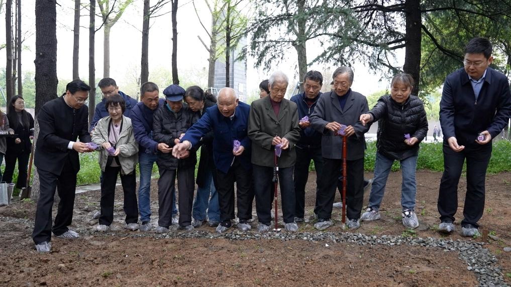 南京大屠殺幸存者代表、死難者遺屬代表等在紀(jì)念館的和平公園里，播撒下紫金草的種子。新華社記者林凱 攝