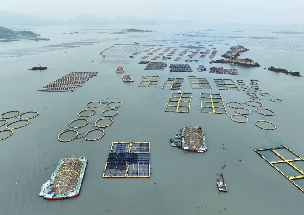 在福建連江定海灣海域，坐落著“定海灣1號(hào)”“定海灣2號(hào)”等深遠(yuǎn)海養(yǎng)殖平臺(tái)（2024年5月7日攝，無(wú)人機(jī)照片）。新華社記者 林善傳 攝