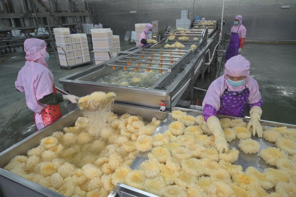2024年5月10日，在福建省寧德市古田縣，一家食品公司的工作人員在挑選清洗銀耳。新華社記者 林善傳 攝