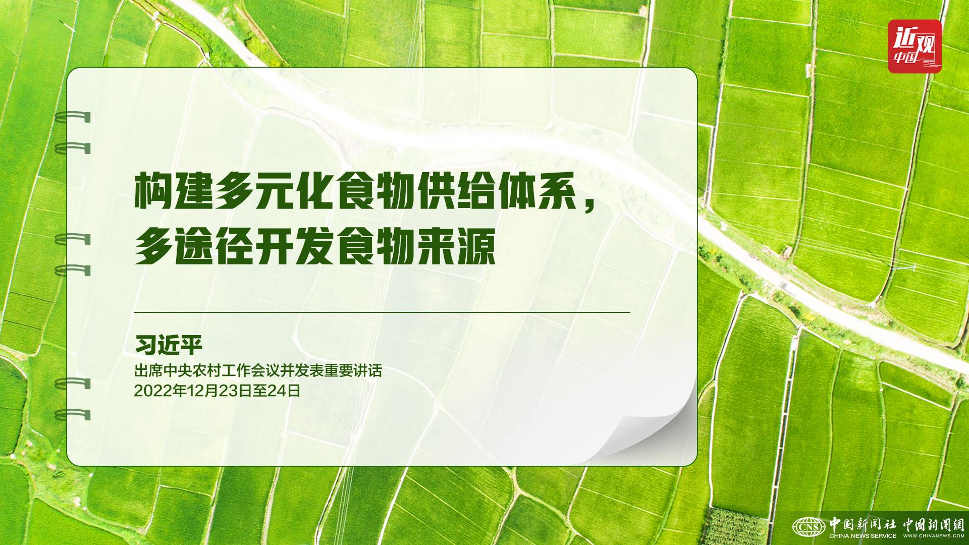 習(xí)近平：樹立大食物觀，構(gòu)建多元化食物供給體系