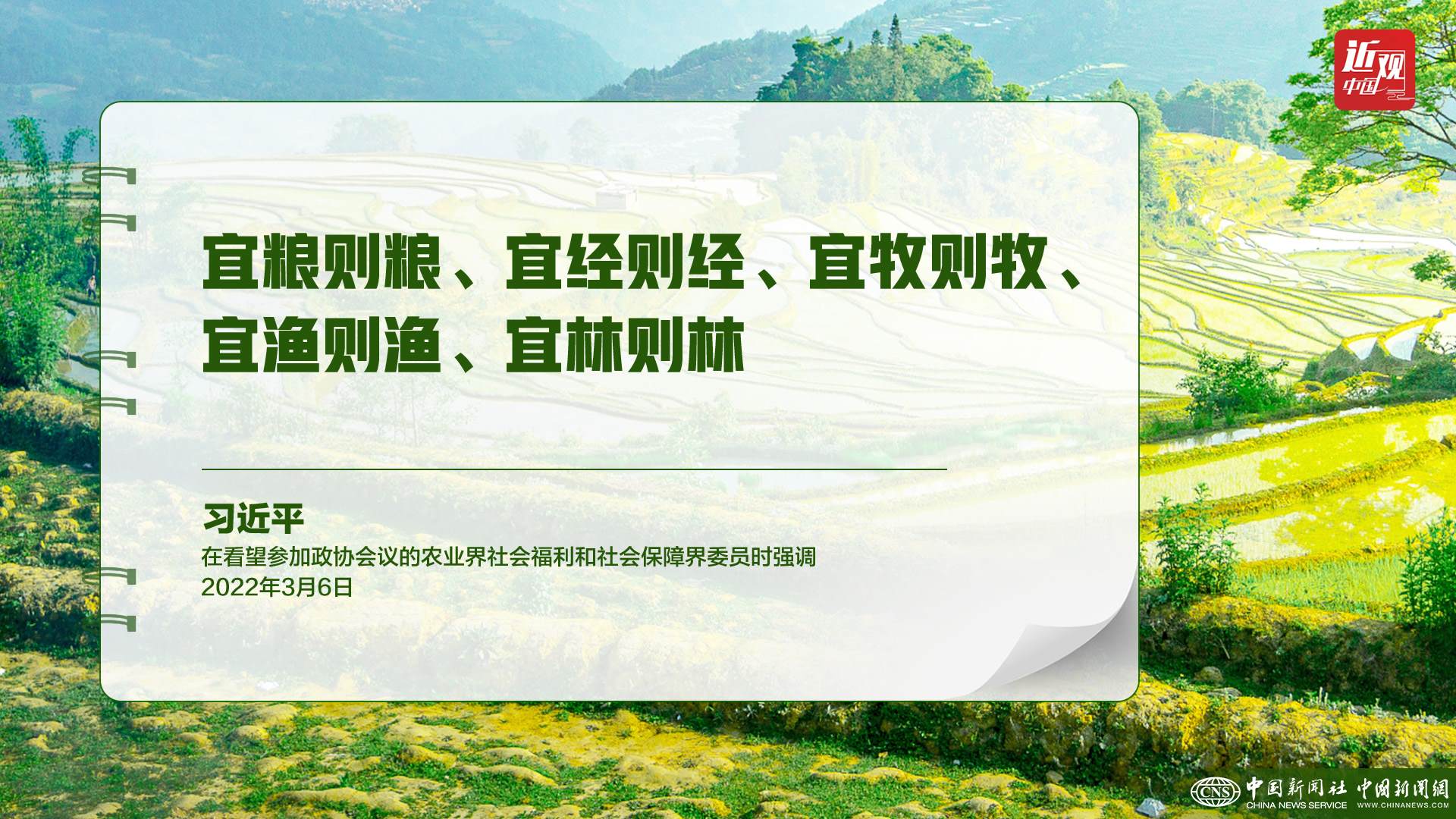 習(xí)近平：樹立大食物觀，構(gòu)建多元化食物供給體系