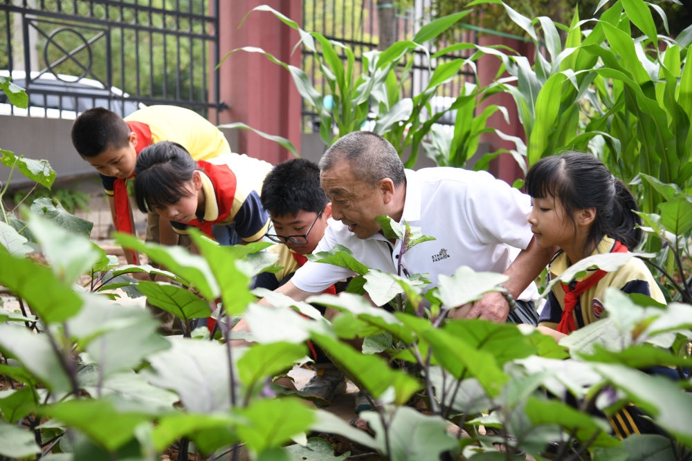5月31日，老師帶領(lǐng)學(xué)生在之江小學(xué)勞動(dòng)實(shí)踐基地學(xué)習(xí)蔬菜知識(shí)。新華社記者 胥冰潔 攝