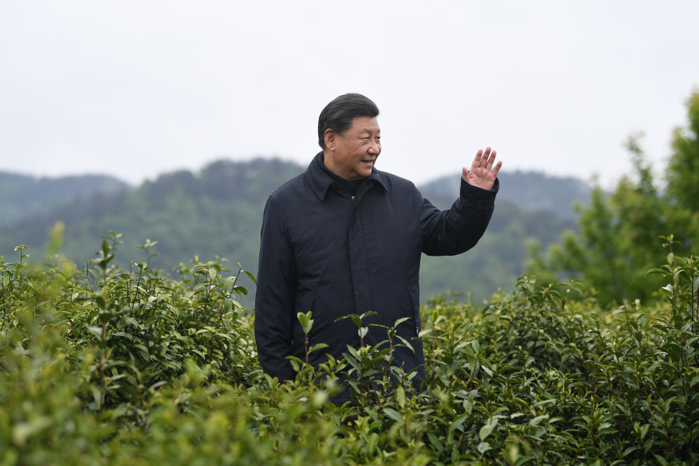 2020年4月21日，習近平總書記來到陜西安康市平利縣老縣鎮(zhèn)，在茶園考察脫貧攻堅情況。新華社記者 燕雁 攝