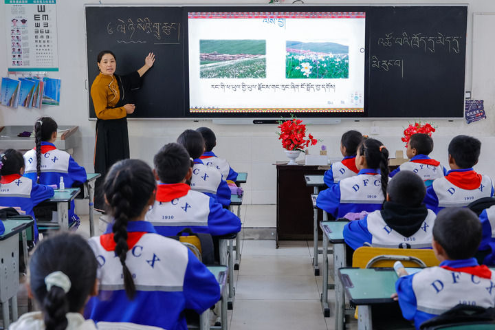 2024年9月27日，在四川省甘孜藏族自治州道孚縣城關(guān)第一完全小學(xué)，采取“藏加模式”教學(xué)的五年級一班的藏語文課上，準(zhǔn)木周老師指導(dǎo)藏族學(xué)生以家鄉(xiāng)草原風(fēng)物為主題寫作藏語文作文。新華社記者 沈伯韓 攝